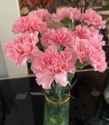 What Flower Means Family? 5 Flowers That Symbolize Love and Unity