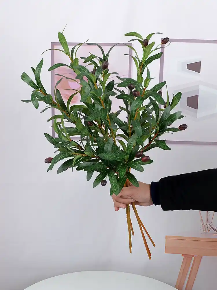 What Flower Means Peace? Top Flowers That Symbolize Peace