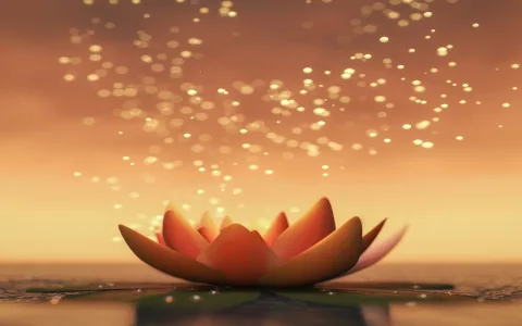 Lotus Flower Meaning in Buddhism: Symbolism of Purity and Enlightenment